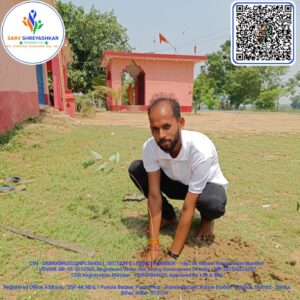 Plantation